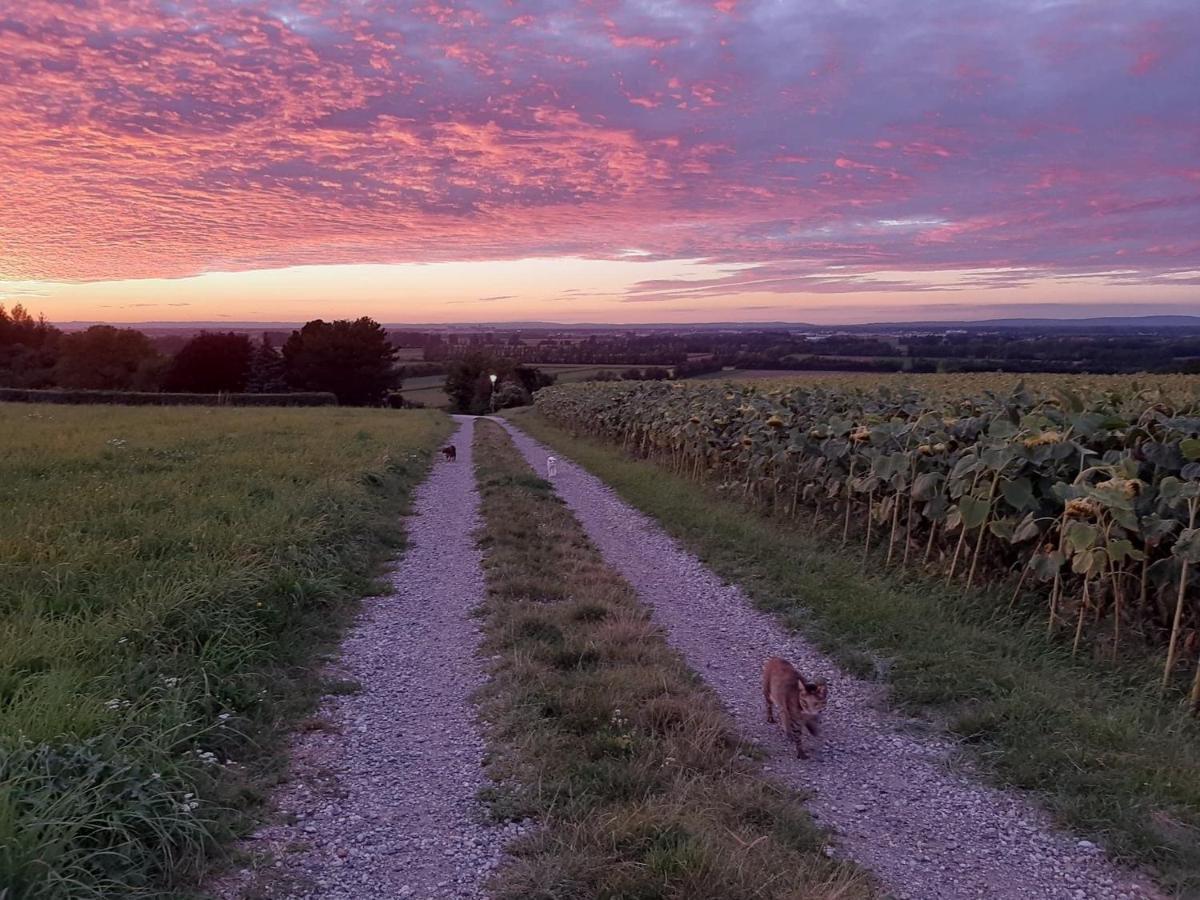 B&B Family Basement Apartment, Breakfast, Free Parking, 5Km From Tulln Chorherrn Esterno foto