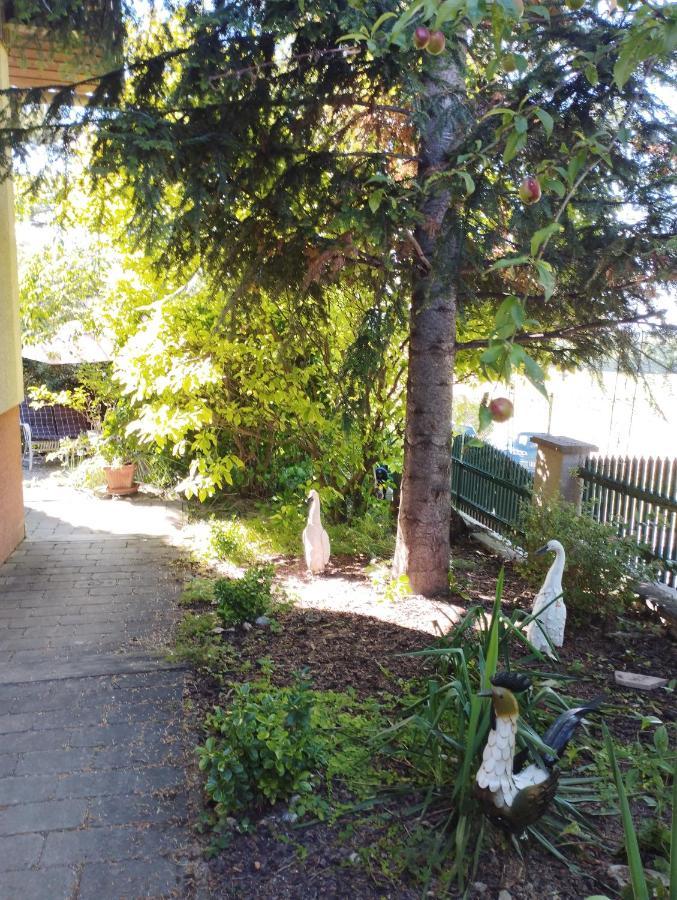 B&B Family Basement Apartment, Breakfast, Free Parking, 5Km From Tulln Chorherrn Esterno foto