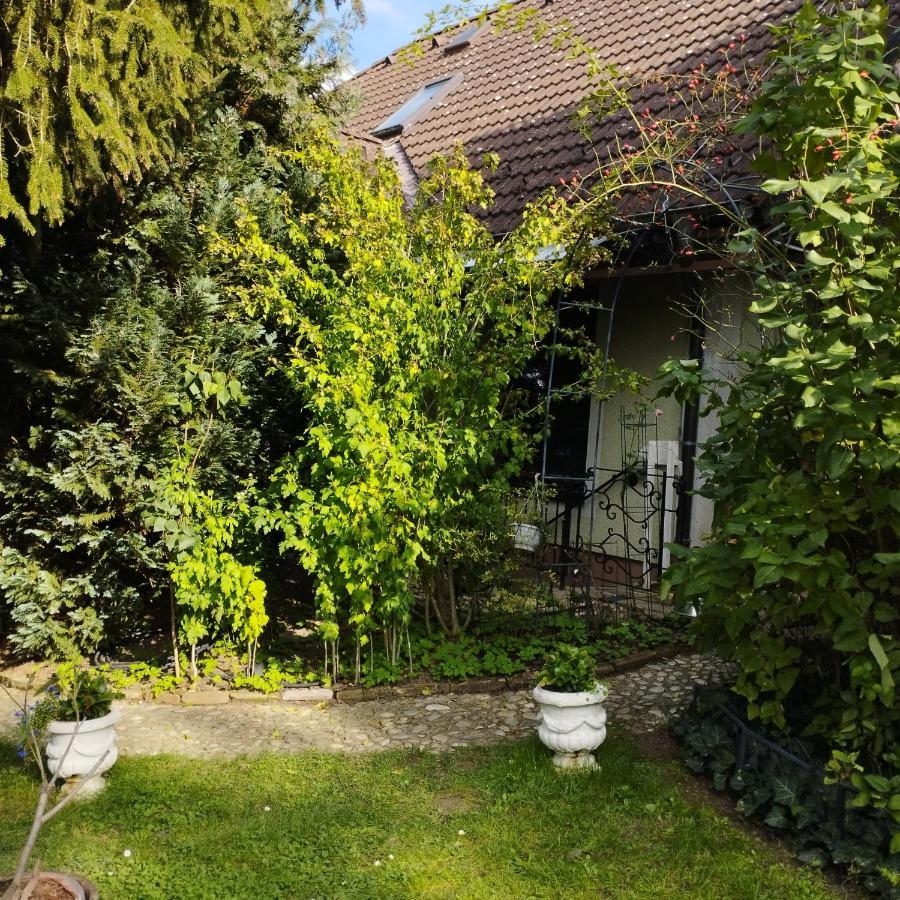 B&B Family Basement Apartment, Breakfast, Free Parking, 5Km From Tulln Chorherrn Esterno foto